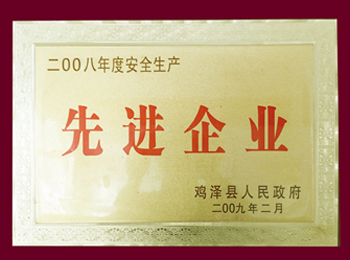 2008年度安全生產(chǎn)先進(jìn)單位.jpg