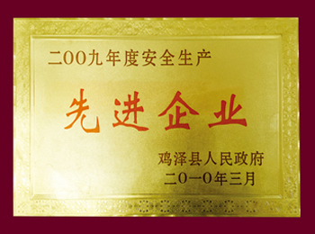 2009年度安全生產(chǎn)先進(jìn)企業(yè).jpg